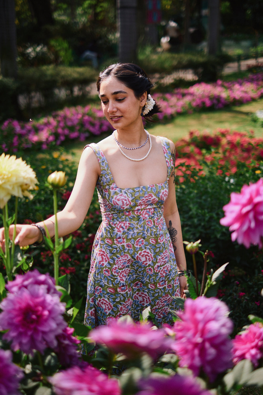 Hibiscus Maxi